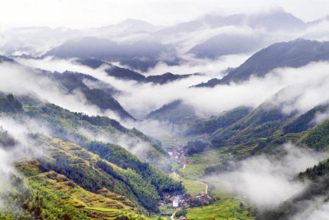 宋慧乔：痛苦只是流经的风景